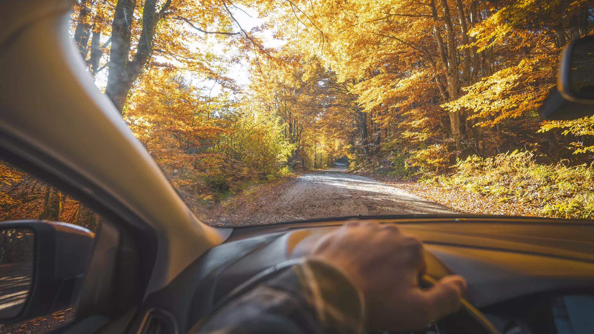 Leasing and Car Fleet Management